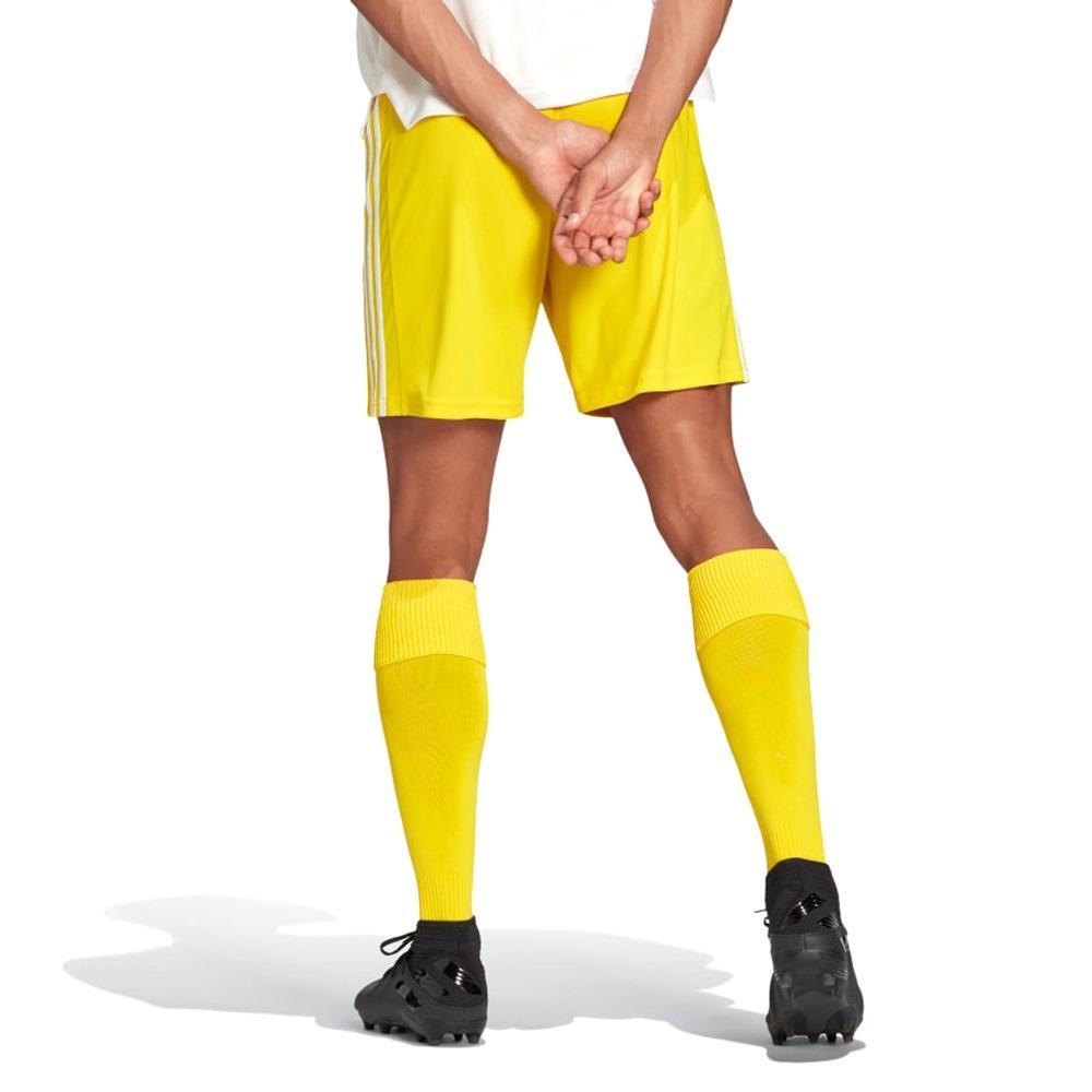 adidas adidas  squadra 21 pantaloncino uomo  giallo - foto 5