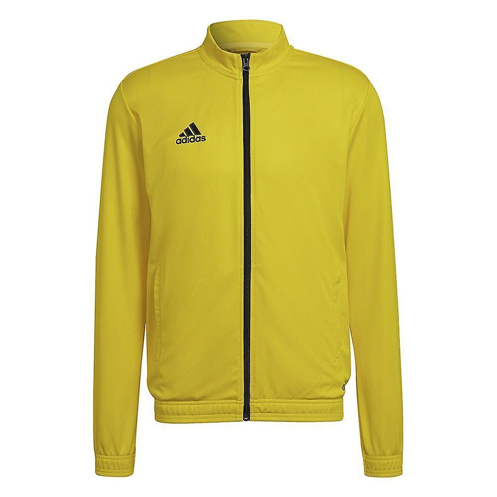 adidas adidas giacca rappresentanza entrada 22 uomo giallo - foto 2