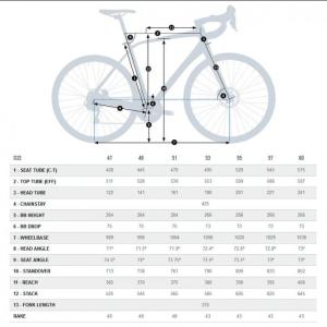 Bici strada avant h40 53 verde