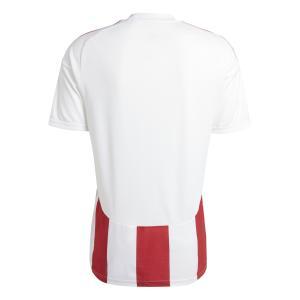 Striped 24 jsy - white/tepore