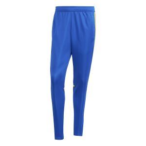 Squadra25 training pant - team royal blue/team yellow