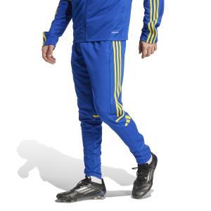 Squadra25 training pant - team royal blue/team yellow