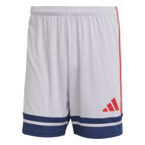 Squadra25 shorts - glory grey/team navy blue 2