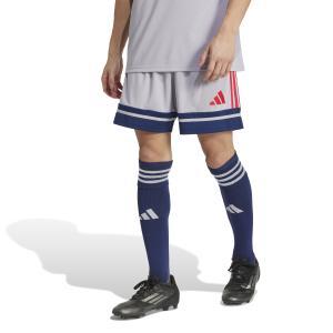 Squadra25 shorts - glory grey/team navy blue 2