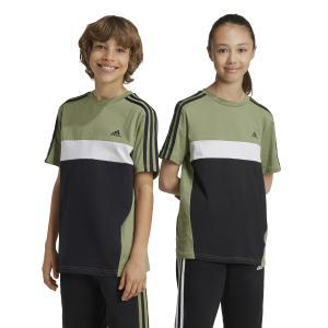T-shirt ss 3s tib t jr. - tent green/black