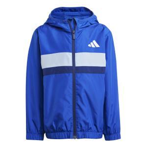 Windbreaker lk tiberio wb jr. - team royal blue/glow blue