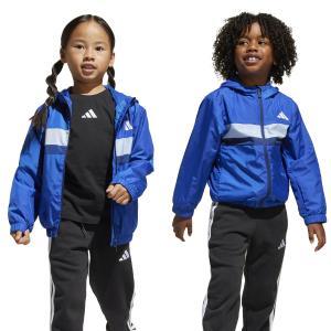 Windbreaker lk tiberio wb jr. - team royal blue/glow blue
