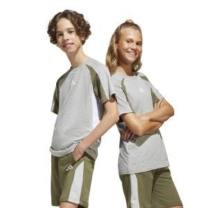 T-shirt ss cb t jr. - medium grey heather/olive strata