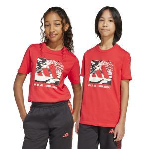 Graphic ss camo logo jr. - pure ruby